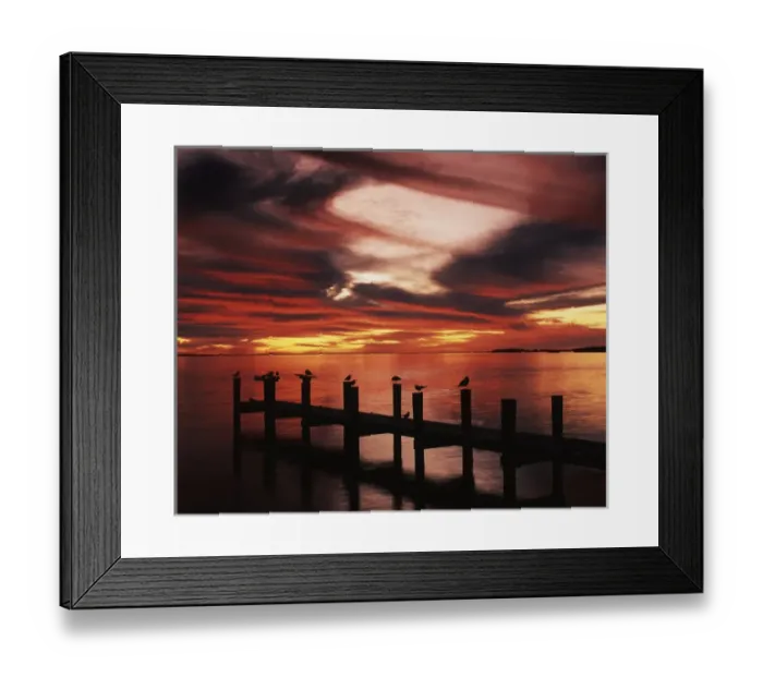 Framed Print : USA, Florida, Fort Meyers, Silhouetted birds on pier at sunset Framed Print : USA, Florida, Fort Meyers, Silhouetted birds on pier at sunset