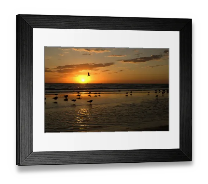 Framed Print : Gulls Waiting for Sunset Framed Print : Gulls Waiting for Sunset