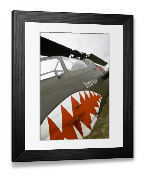 Framed Print : Olympia, Washington, airshow, military, aircraft, Vietnam War, Cobra, helicopter, teeth Framed Print : Olympia, Washington, airshow, military, aircraft, Vietnam War, Cobra, helicopter, teeth