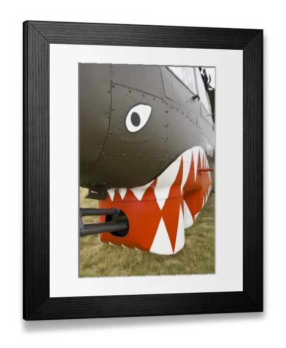 Framed Print : Olympia, Washington, airshow, military, aircraft, Vietnam War, Cobra, helicopter, teeth Framed Print : Olympia, Washington, airshow, military, aircraft, Vietnam War, Cobra, helicopter, teeth