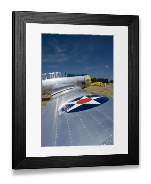 Framed Print : Arlington Fly-in, flight, aircraft, Arlington, Washington, nostalgia, classic, antique