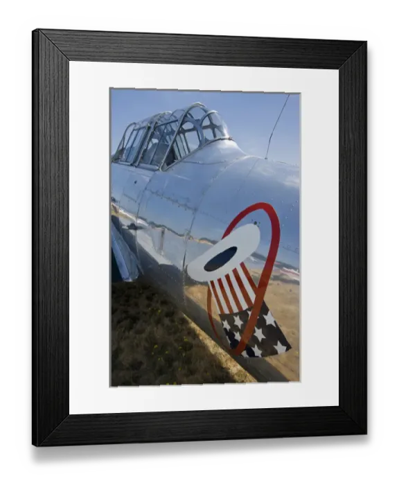 Framed Print : Arlington Fly-in, flight, aircraft, Arlington, Washington, nostalgia, classic, antique Framed Print : Arlington Fly-in, flight, aircraft, Arlington, Washington, nostalgia, classic, antique