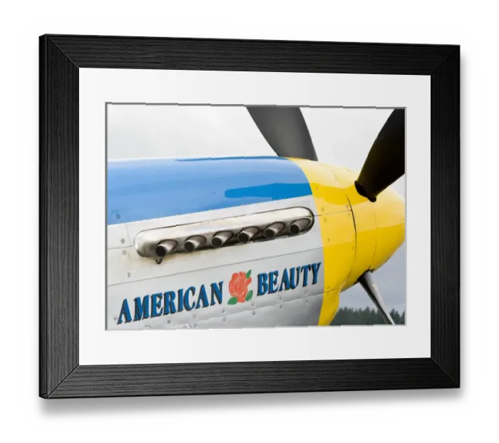 Framed Print : Olympia, Washington, airshow, military, aircraft, World War II, cowling, propeller Framed Print : Olympia, Washington, airshow, military, aircraft, World War II, cowling, propeller