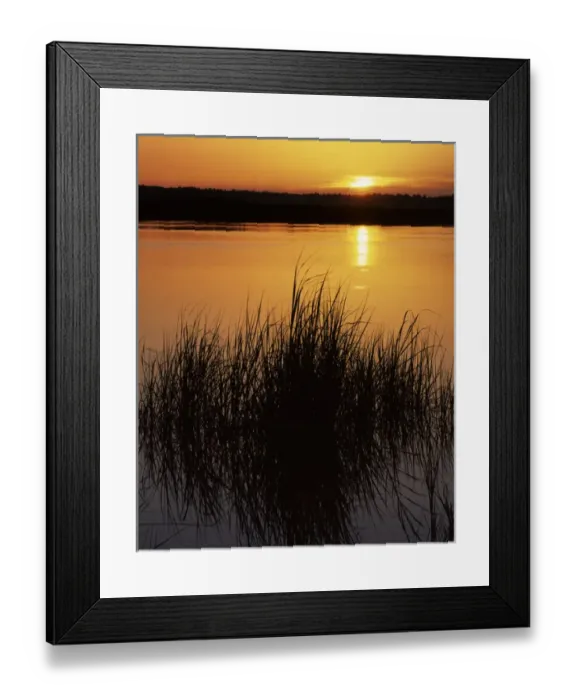 Framed Print : USA, Florida, Nassau River, Sunrise