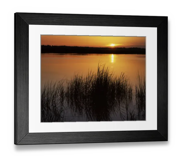 Framed Print : USA, Florida, Nassau River, Sunrise Framed Print : USA, Florida, Nassau River, Sunrise