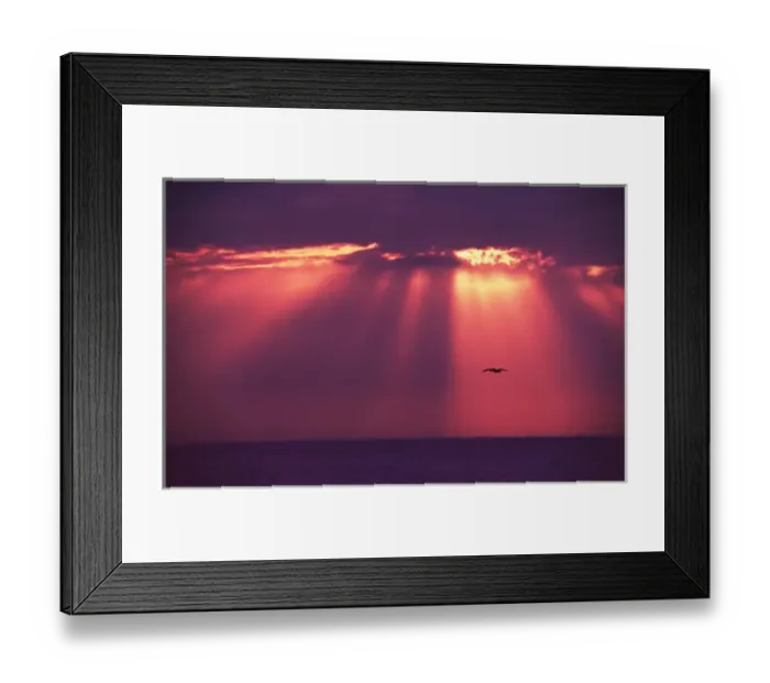 Framed Print : Florida, Sanibel Island. A sunset with Gods rays and a pelican Framed Print : Florida, Sanibel Island. A sunset with Gods rays and a pelican