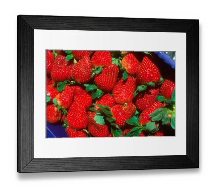 Framed Print : A basket of strawberries at Parker Farms in Plant City, Florida Framed Print : A basket of strawberries at Parker Farms in Plant City, Florida
