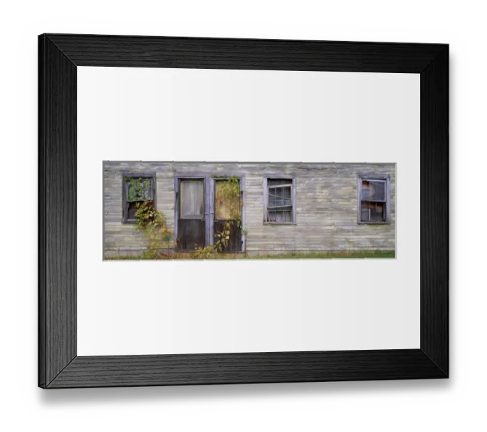 Framed Print : USA, Wisconsin, Kewaunee Co. Vines invade an old wooden house in Kewaunee County
