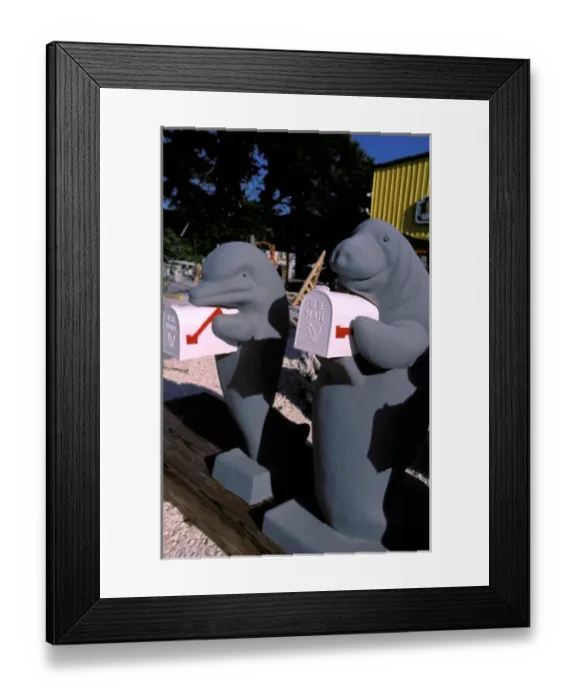 Framed Print : North America, USA, Florida, Key West. Marine themed mailboxes