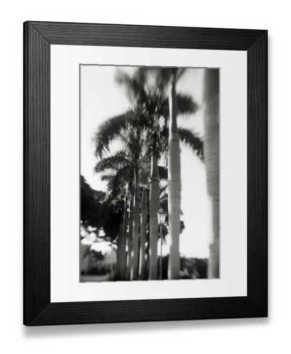 Framed Print : Boca Raton Resort and Club Framed Print : Boca Raton Resort and Club