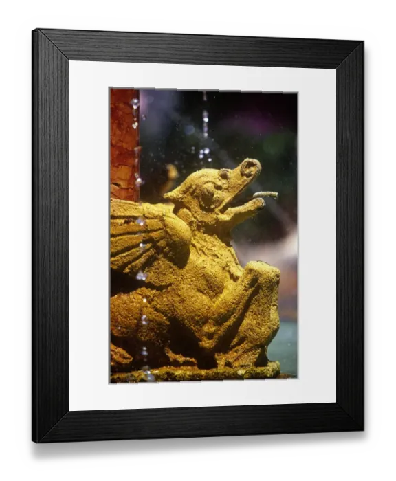 Framed Print : Boca Raton Resort and Club