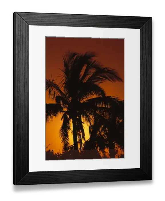 Framed Print : North America, U. S. A. Florida, Biscayne National Park, Tropical sun sets behind Framed Print : North America, U. S. A. Florida, Biscayne National Park, Tropical sun sets behind