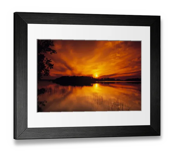Framed Print : North America, U. S. A. Florida, Everglades National Park, near Miami, Evening in Framed Print : North America, U. S. A. Florida, Everglades National Park, near Miami, Evening in