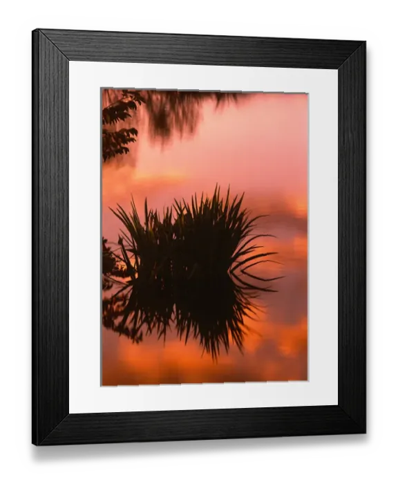 Framed Print : North America, U. S. A. Florida, Wakodahatchee preserve, Sunrise reflection in a swampy Framed Print : North America, U. S. A. Florida, Wakodahatchee preserve, Sunrise reflection in a swampy