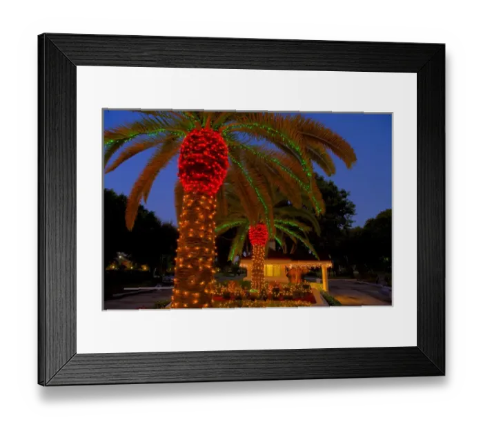 Framed Print : North America, United States, Southeast, East, Florida, Xmas, Christmas, lighting Framed Print : North America, United States, Southeast, East, Florida, Xmas, Christmas, lighting