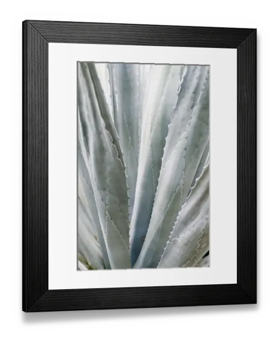 Framed Print : North America, Florida, Lake Wales, Bok Sanctuary