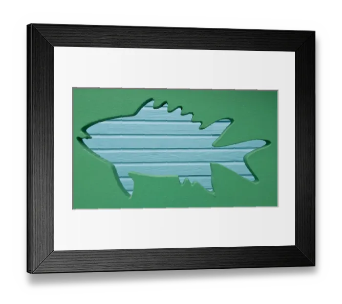 Framed Print : North America, Florida, Sanibel Island Framed Print : North America, Florida, Sanibel Island