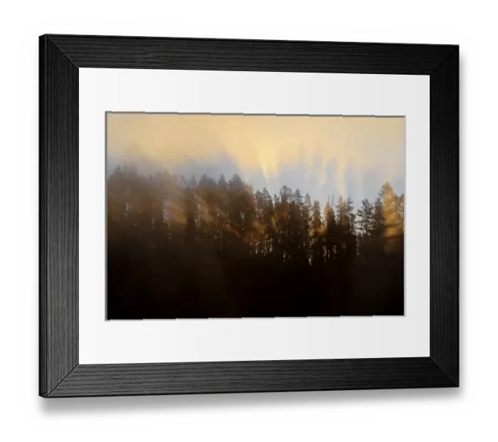 Framed Print : Rays of light emit from forest above the Yellowstone River at sunrise in Yellowstone Framed Print : Rays of light emit from forest above the Yellowstone River at sunrise in Yellowstone