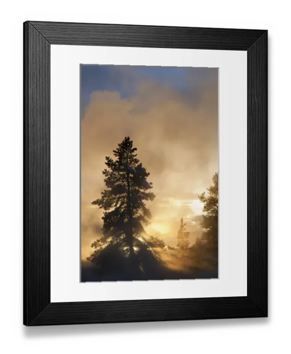 Framed Print : Sunset colors the steam above Leather Pool in the Lower Geyser Basin in Yellowstone Framed Print : Sunset colors the steam above Leather Pool in the Lower Geyser Basin in Yellowstone