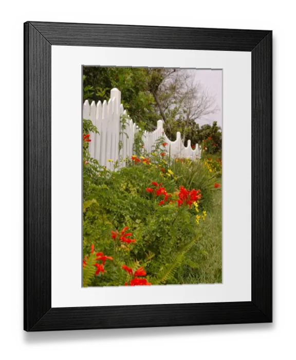 Framed Print : North America, USA, Florida, New Smyrna Beach, border garden