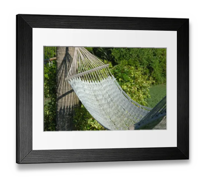 Framed Print : North America, USA, Florida, Edgewater, hammock in backyard Framed Print : North America, USA, Florida, Edgewater, hammock in backyard