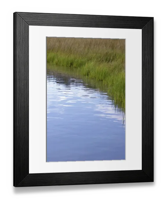 Framed Print : USA; Florida; Edgewater; Edgewater Landing; grasses along Indian River