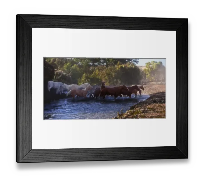 Framed Print : Horse crossing a river in Shell Wyoming Framed Print : Horse crossing a river in Shell Wyoming