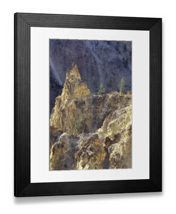 Framed Print : NA, USA, Wyoming, Yellowstone National Park. Grand Canyon of Yellowstone. Trees Framed Print : NA, USA, Wyoming, Yellowstone National Park. Grand Canyon of Yellowstone. Trees