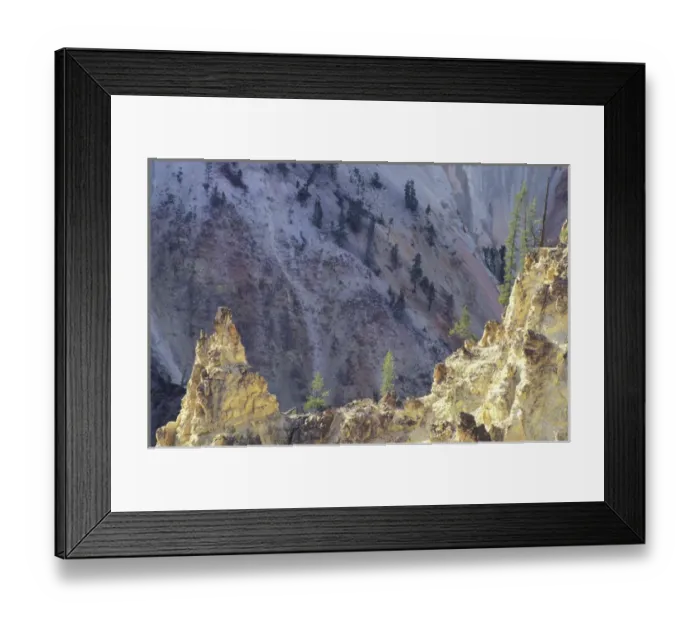 Framed Print : NA, USA, Wyoming, Yellowstone National Park. Grand Canyon of Yellowstone. Trees Framed Print : NA, USA, Wyoming, Yellowstone National Park. Grand Canyon of Yellowstone. Trees