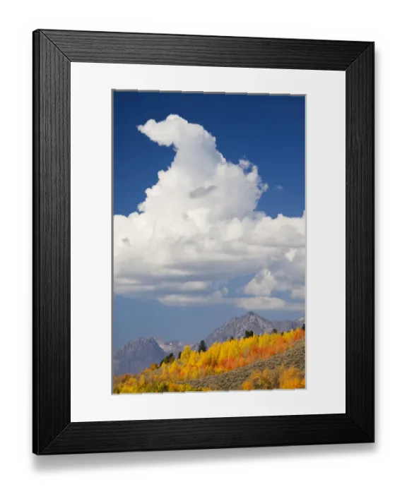Framed Print : WY, Grand Teton National Park, Teton Range with aspen trees and clouds Framed Print : WY, Grand Teton National Park, Teton Range with aspen trees and clouds