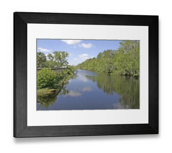 Framed Print : People alligator watching, Turner River. Big Cypress National Preserve, Florida Framed Print : People alligator watching, Turner River. Big Cypress National Preserve, Florida