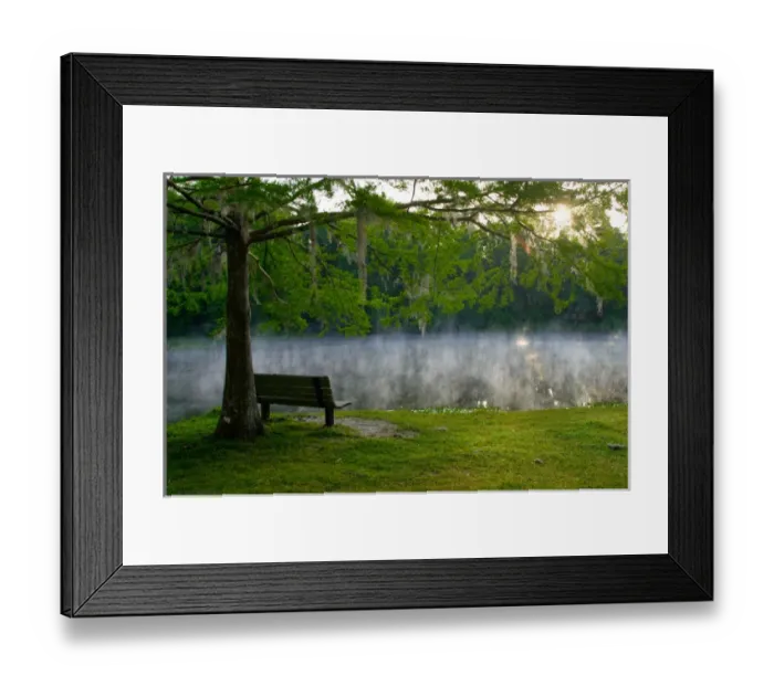 Framed Print : USA, Florida, Ocala National Forest, Alexander Springs Recreational Area, Overlooking Framed Print : USA, Florida, Ocala National Forest, Alexander Springs Recreational Area, Overlooking