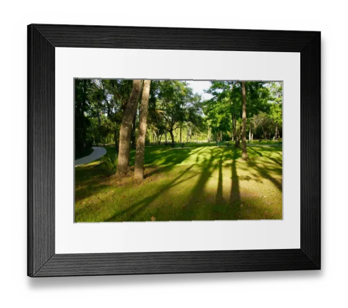 Framed Print : USA, Florida, Ocala National Forest, Alexander Springs Recreational Area, Picnic area