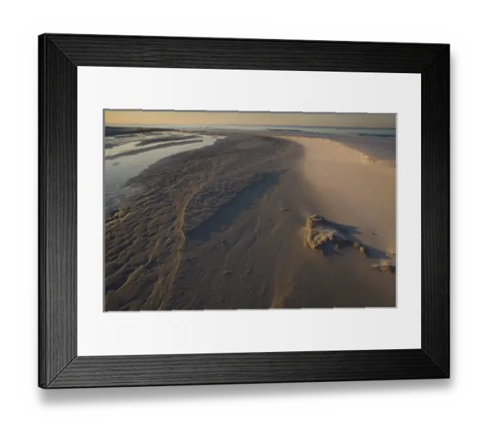 Framed Print : Tophill preserve state park, Destin, Florida panhandle