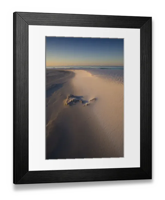 Framed Print : Tophill preserve state park, Destin, Florida panhandle Framed Print : Tophill preserve state park, Destin, Florida panhandle