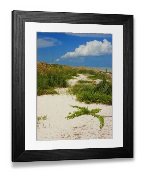 Framed Print : Bahia Honda Beach State Park, Florida Keys Framed Print : Bahia Honda Beach State Park, Florida Keys