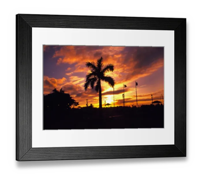 Framed Print : NA, USA, Florida, Florida Keys, Key West, Sunset Mallory Square with Palm Tree