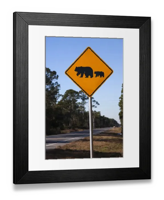 Framed Print : USA, Florida, Florida Panhandle, Carrabelle, bear crossing sign, Rt. 98 Framed Print : USA, Florida, Florida Panhandle, Carrabelle, bear crossing sign, Rt. 98