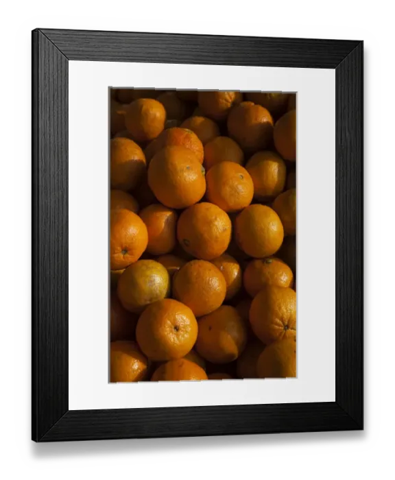 Framed Print : USA, Florida, Ocala, Florida oranges Framed Print : USA, Florida, Ocala, Florida oranges