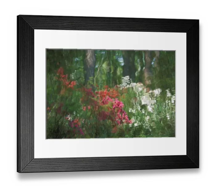 Framed Print : USA, Georgia, Azalea reflection in pond. Credit as: Nancy Rotenberg  /  Jaynes Gallery  /  DanitaDelimont
