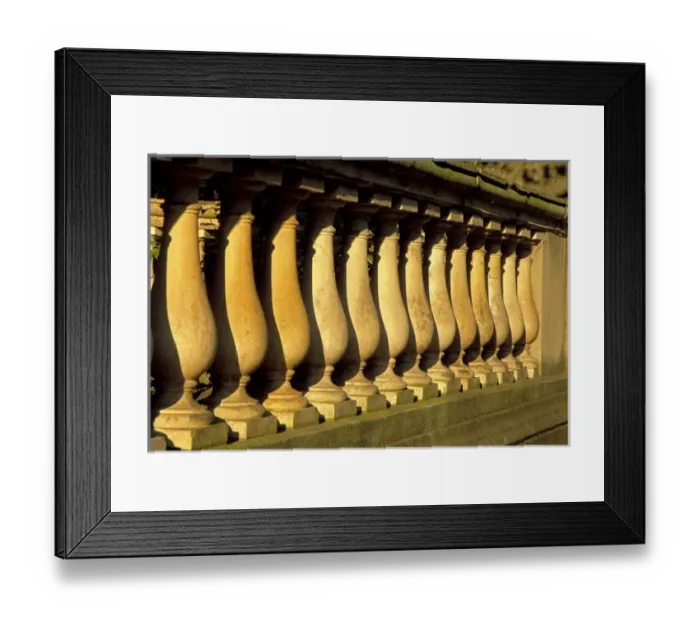 Framed Print : N. A. USA, Georgia, Savannah. Row of columns Framed Print : N. A. USA, Georgia, Savannah. Row of columns