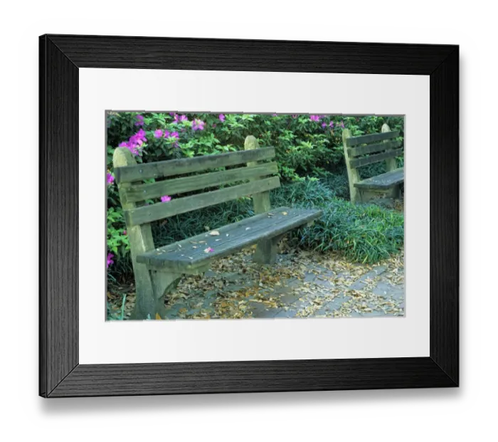 Framed Print : N. A. USA, Georgia, Savannah. Park benches in town square Framed Print : N. A. USA, Georgia, Savannah. Park benches in town square