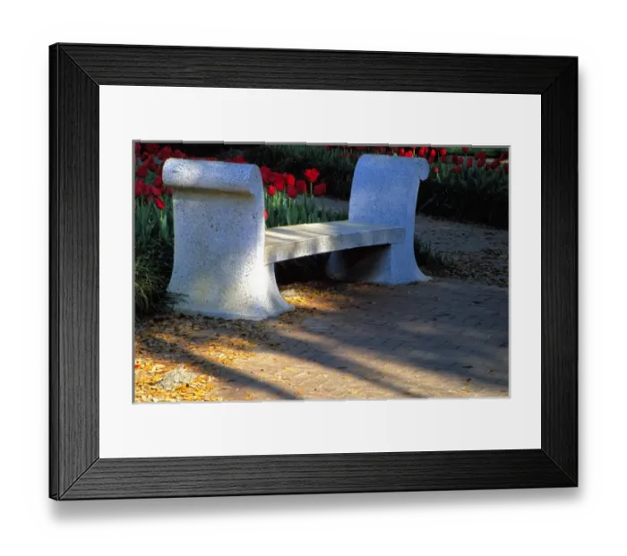 Framed Print : N. A. USA, Georgia, Savannah. Bench in Orleans Square