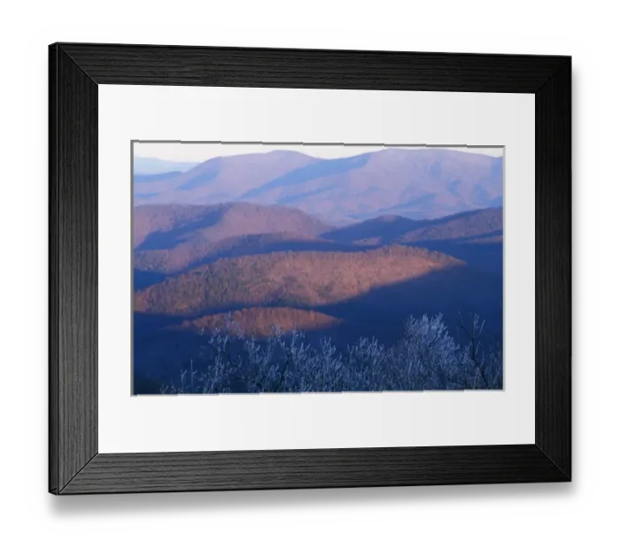 Framed Print : Chattahoochee N. F. GA. Chattahoochee N. F. GA Framed Print : Chattahoochee N. F. GA. Chattahoochee N. F. GA