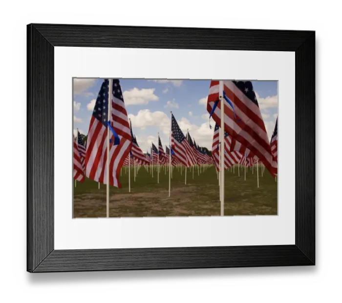 Framed Print : USA Georgia Savannah field of American Flags
