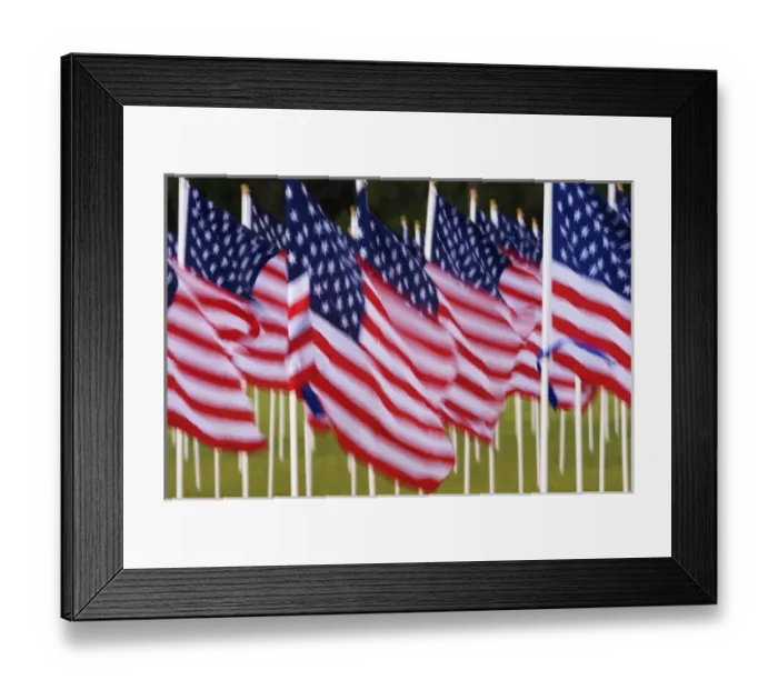 Framed Print : USA Georgia Savannah field of American Flags Framed Print : USA Georgia Savannah field of American Flags
