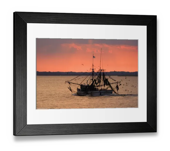 Framed Print : USA; Georgia; Jykell Island. Shrimp boat at sunset