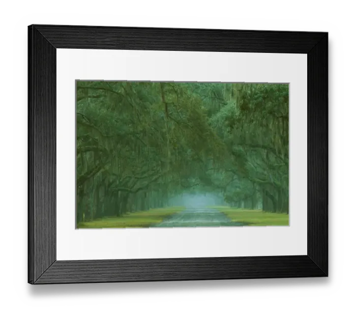 Framed Print : USA; Georgia; Oak lined drive at Historic Wormsloe Plantation near Savannah Framed Print : USA; Georgia; Oak lined drive at Historic Wormsloe Plantation near Savannah