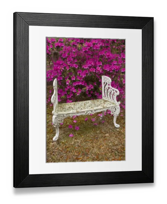 Framed Print : USA; Georgia; Savannah; Spring at Historic Bonaventure Cemetery Framed Print : USA; Georgia; Savannah; Spring at Historic Bonaventure Cemetery