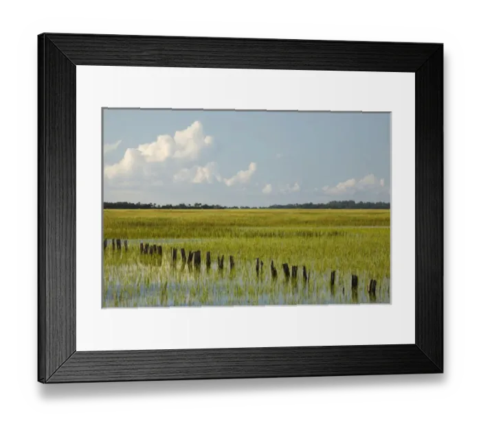 Framed Print : USA; Georgia; Savannah; Tidal marsh with pilings Framed Print : USA; Georgia; Savannah; Tidal marsh with pilings